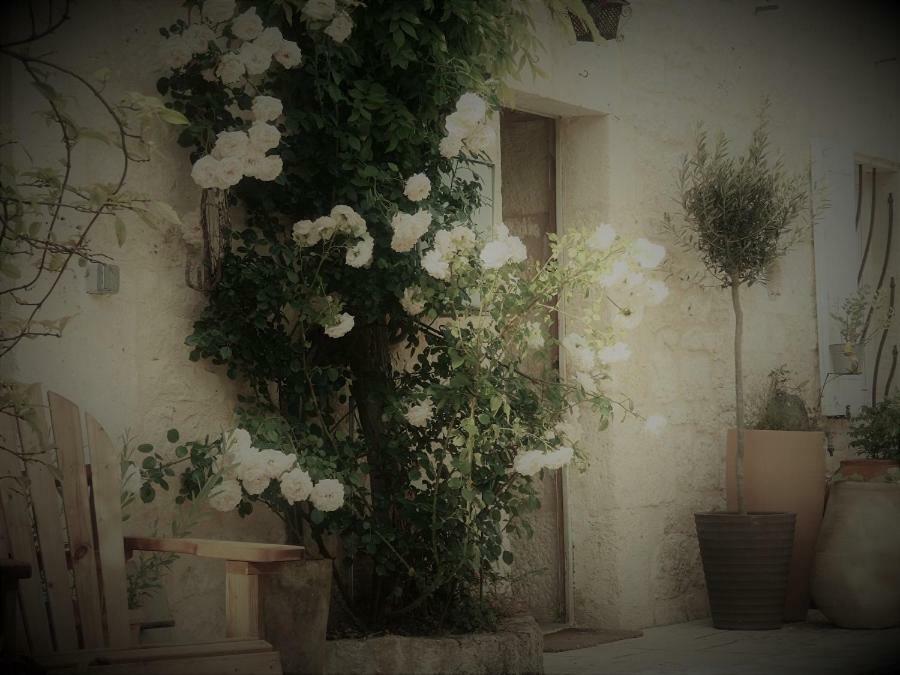 Bastida De Beata Bed and Breakfast Noailles  Buitenkant foto